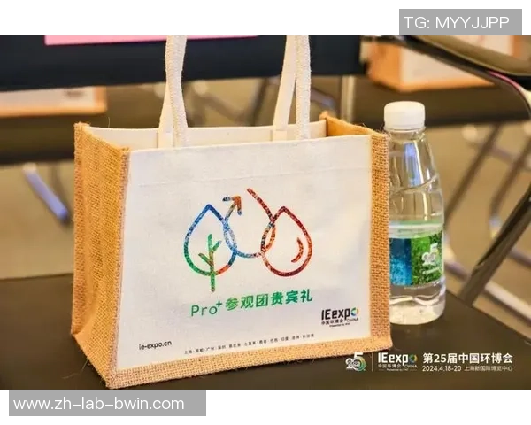 足球纸袋的创意设计与环保理念结合的完美实践探索