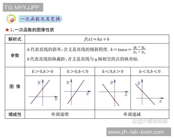 足球标准编号的重要性与应用解析及其对行业发展的影响